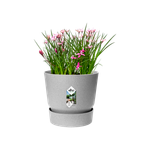 greenville round 25cm living concrete